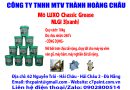 Mỡ LUXO Classic Grease NLGI 3(xanh)